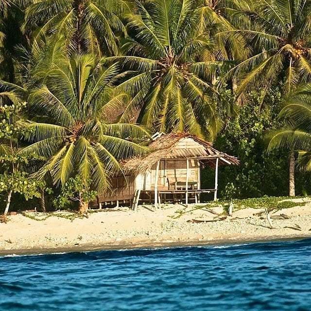 SumatranSurf's tweet photo. Mentawai islands beach shack #Lancesleft #sumatransurfcharters #surfcharters #Mentawais #oceanartwork #Indonesia #Sumatra #waves #perfectwaves #perfectsurf https://t.co/KMdVPBRpnn