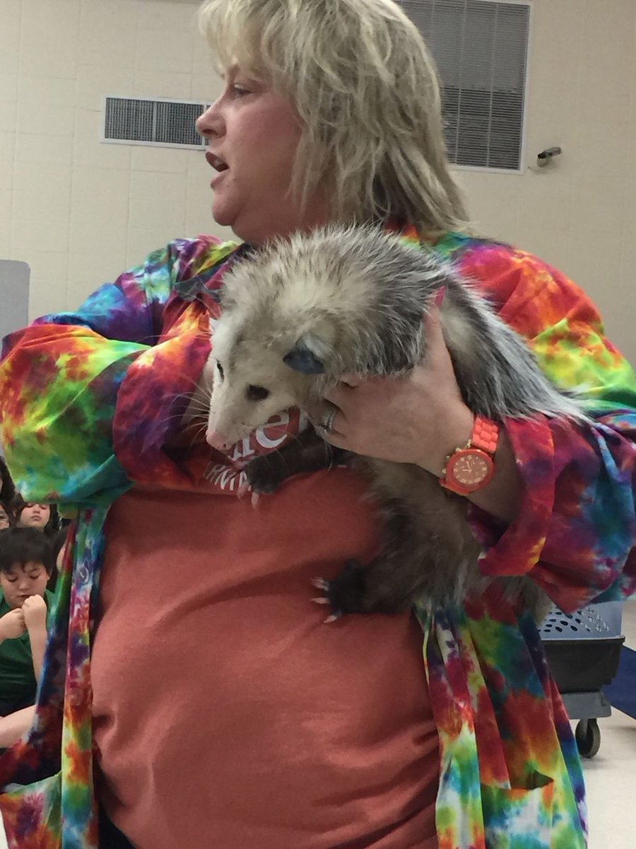 Saigling5th's tweet photo. 5th Grade animal presentation by Adventure Camp https://t.co/LBRkTadXDB