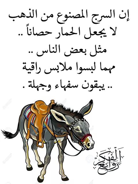 mathstar22 tweet picture