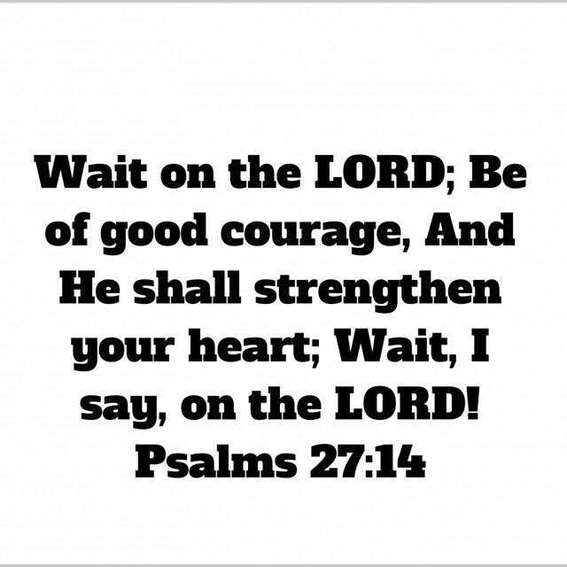 holyspirit7fire's tweet photo. “Wait patiently for the LORD. Be brave and courageous. Yes, wait patiently for the LORD.”
Psalms 27:14
#DontGiveUp
#GODwillRenewYourStrength
#HEwillHelpYou
#WaitOnHIM
#KeepTrustingInJESUS https://t.co/1tph7wjiKm
