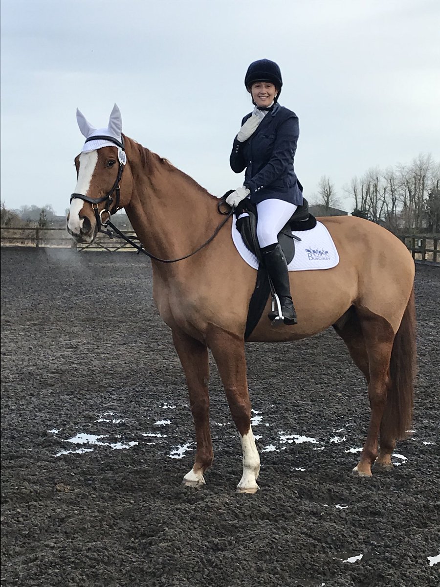 Clairefada's tweet photo. A day in the life of a giant carrot! Love my #hairyhorsechild #ginger #zangerscheide #CommandantH #GetCarter https://t.co/0VAUjWtIEs
