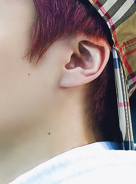 ptgsdetails's tweet photo. #jinho
⋆ moles
⋆ ear
⋆ hair https://t.co/uSG48mrETq