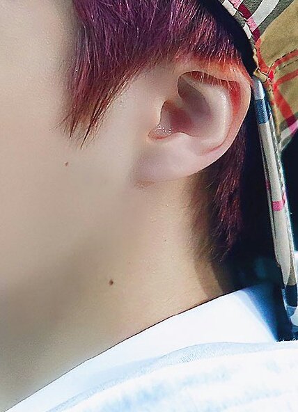 ptgsdetails's tweet photo. #jinho
⋆ moles
⋆ ear
⋆ hair https://t.co/uSG48mrETq