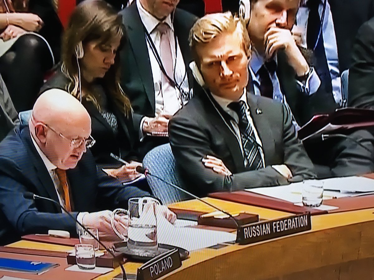 AB1ackSheep's tweet photo. Check the look on the Swedish ambassador’s face as Russia tells UN they believe UK drugged international community. #NerveAgentAttack #UNSC https://t.co/p8TGnjfU3n