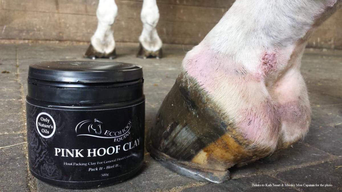 Ecohoof's tweet photo. #pinkhoofclay a must for every tack box #magicinatub https://t.co/7ufgWzhij7