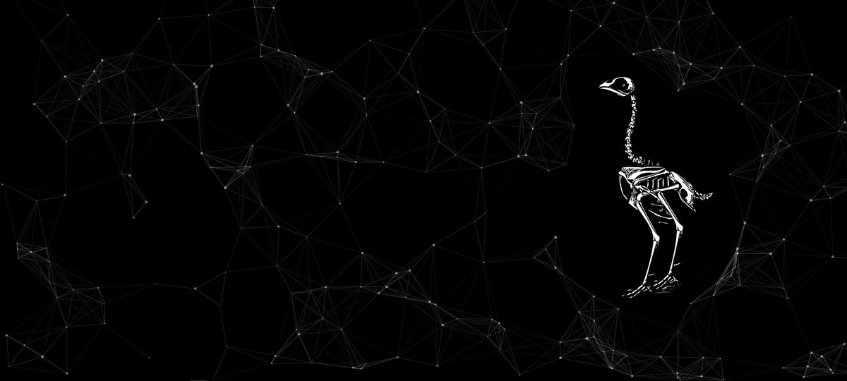 FullMetaPipe's tweet photo. Blockchain Chickens?: Now that we are safely past April 1st, I'm happy to introduce you to a little project we are cooking up here at MetaPipe. Our mission has always been to create tools empowering remote collaboration in digital content creation. As… https://t.co/cHV9kzGAt4 https://t.co/akFEPhpfF6