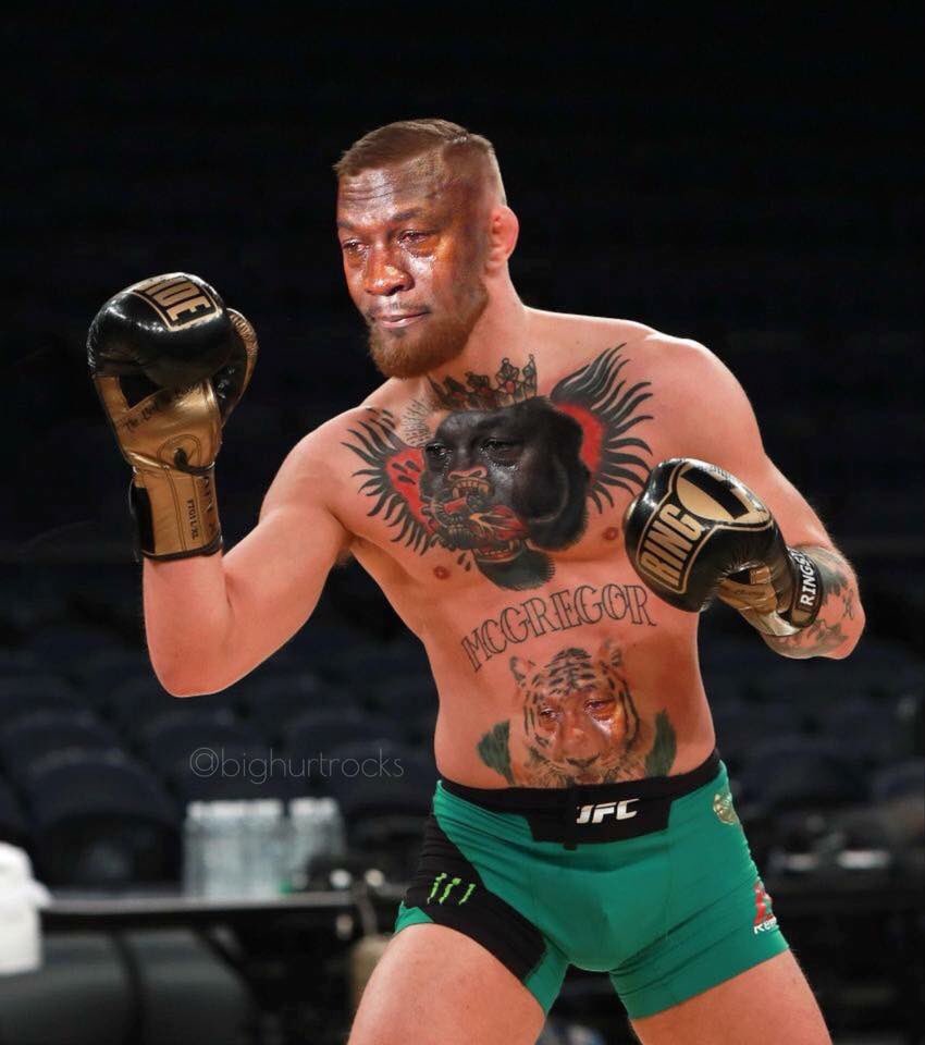 CryingJordan's tweet photo. Dana White claims a warrant has been issued for Conor McGregor

Credit - @bighurtrocks https://t.co/dd8CaG0o1v