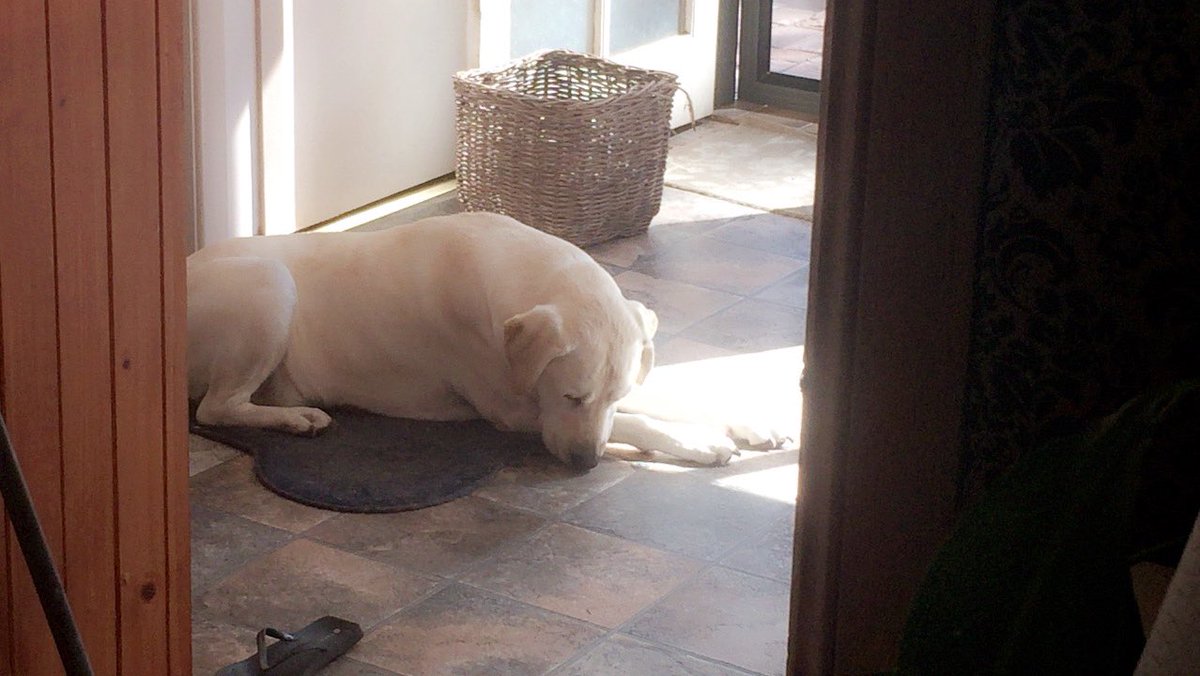 Justin_Somersss's tweet photo. Me: When mum tells me to go outside and get some sun! ☀️ 😆 https://t.co/e3heX4BoMD