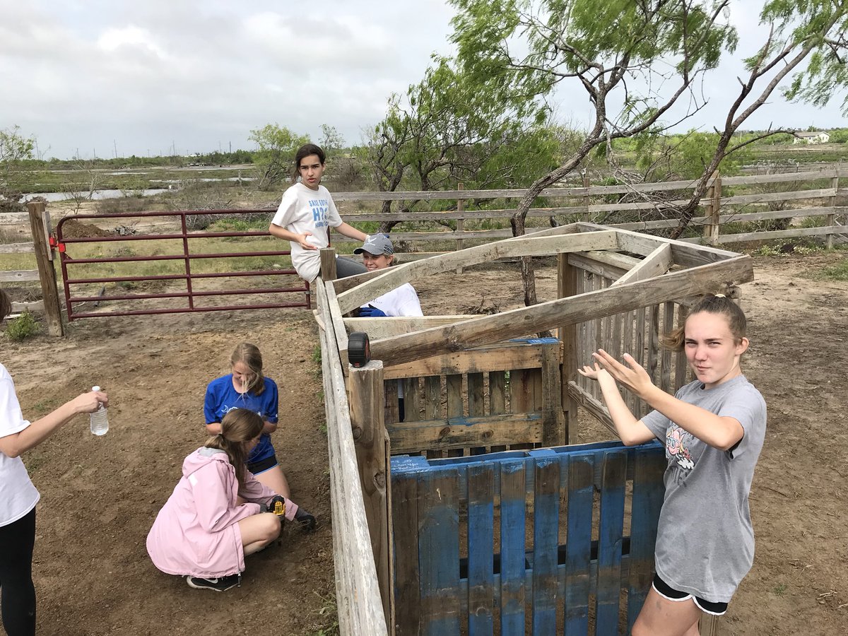 RangerF3's tweet photo. Look what our youth built at this Texas Ranch in Rockport!  Girl Power!  The best  goat shed it Texas! https://t.co/A6WAG2sdOL