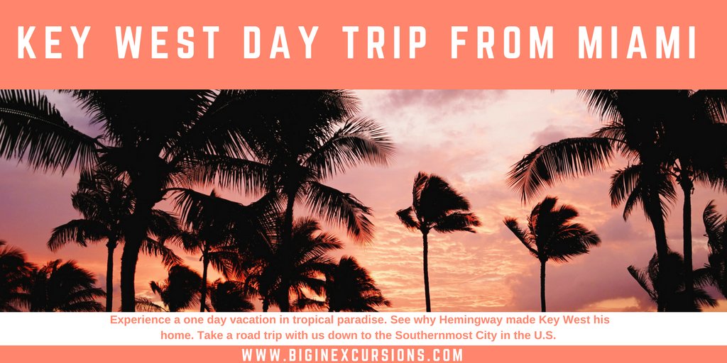 BigInExcursions's tweet photo. Day trips to #KeyWest from #Miami Every Day! Escape To Paradise for $79! BOOK NOW: https://t.co/dhmIhU4wPd …

*Must Book 24 Hrs in Advance #Adventure #Travel https://t.co/SkAp4eVfzB