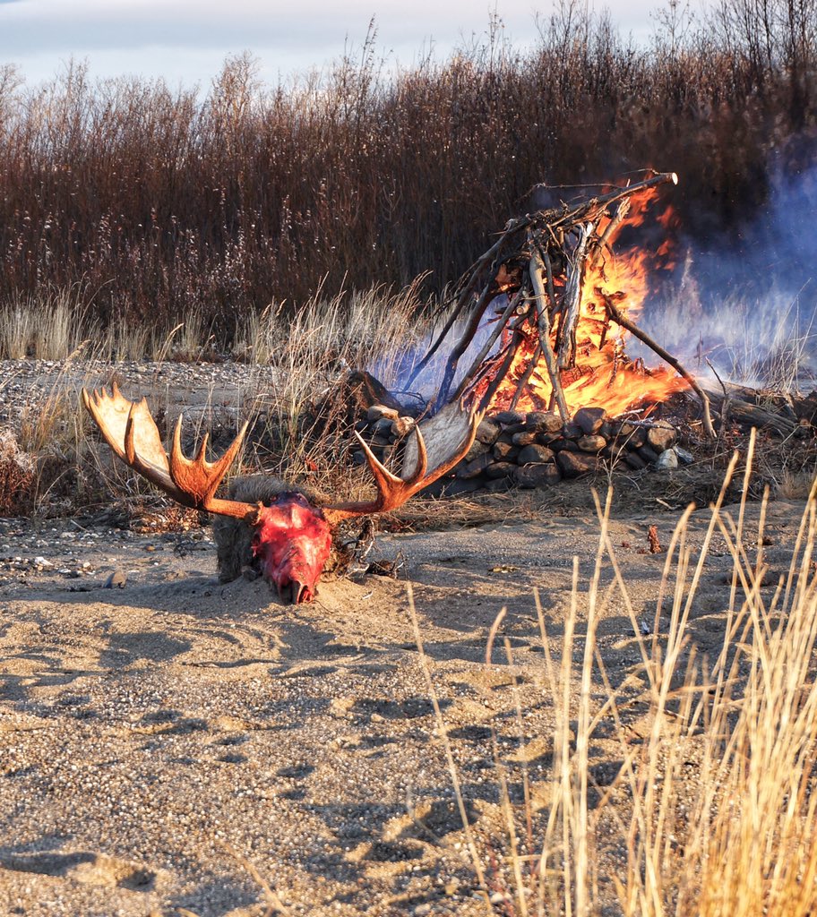 AKODTV's tweet photo. Fire 🔥 dance to the moose gods after a successful moose hunt. Alaska 👊 https://t.co/jo7nGBeovs