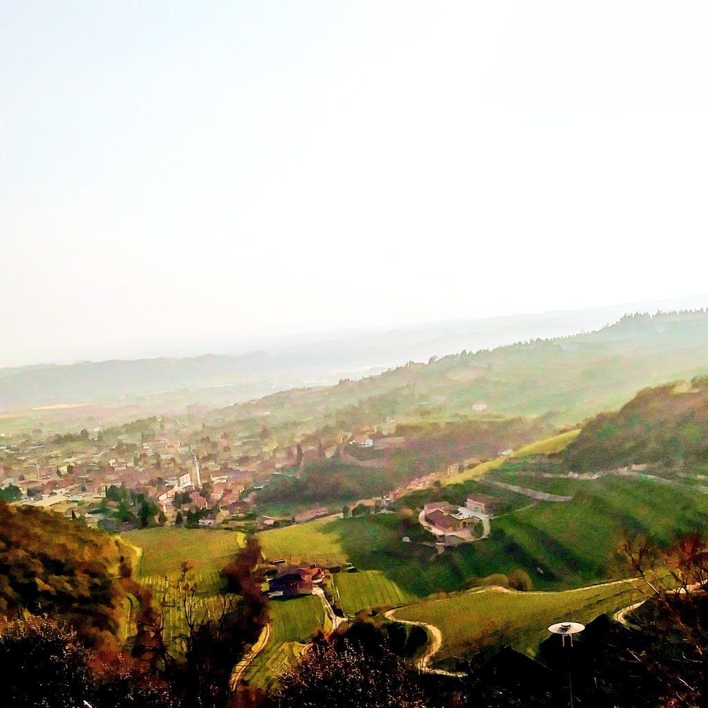 stefano_righe's tweet photo. 3km da #Bussolengo per un tuffo  #enpleinair  che riconcilia con se stessi, @ #Valpolicella ! Qual'è la vostra dimensione?
#mtb #amarone #recioto #sangiorgioinganapoltron #gardalake #mtbstefanorighetti #visitveneto #venetogram #running #trailrunning #trek #cicloturismo #Turismo https://t.co/xtfwt1aC3W