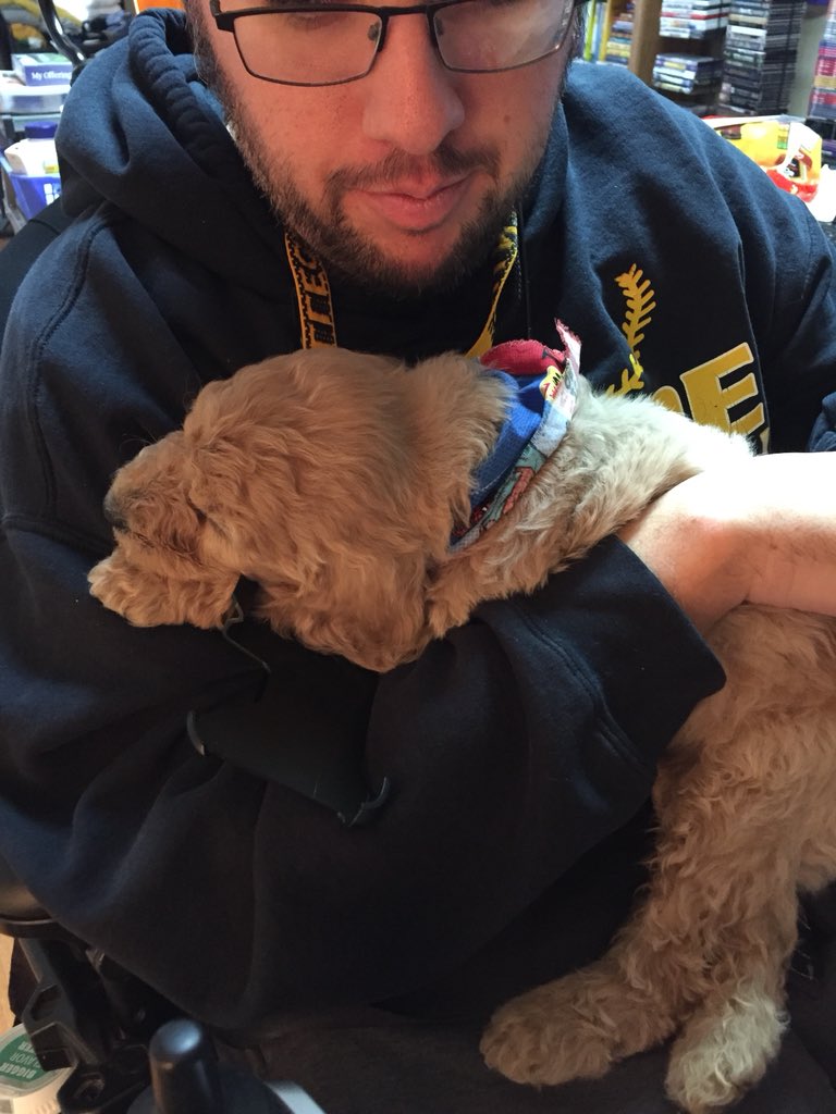 CentreSIFella's tweet photo. Meet Jack. He is a good boy. https://t.co/m1do46FNqQ