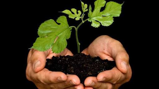 ServiLectric's tweet image. ¿SABIAS QUE?
Si todos los periódicos se reciclaran salvaríamos cerca de 250 millones de árboles al año.
#ServiLectric #ServiLectricPorUnMejorPlaneta