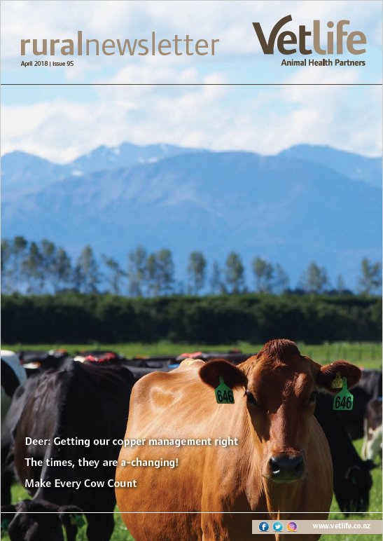 EveryCowNZ's tweet photo. We have a special feature in this months Rural Newsletter. Check it out here: https://t.co/pRL4u98lBR
#agchatnz #ruralnews #cowcollars https://t.co/Q3LFRXinBp