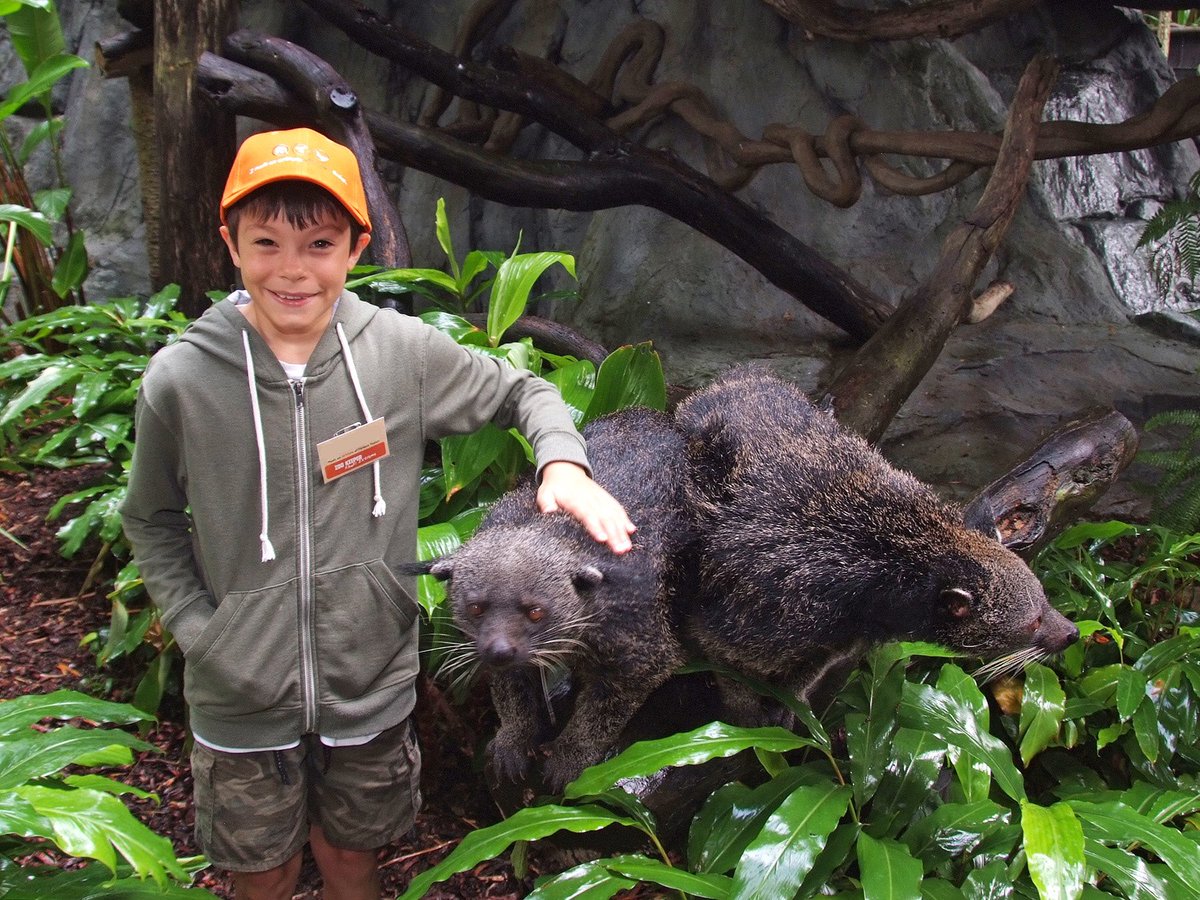 Australia Zoo On Twitter Kids Ever Wondered What It Would - 