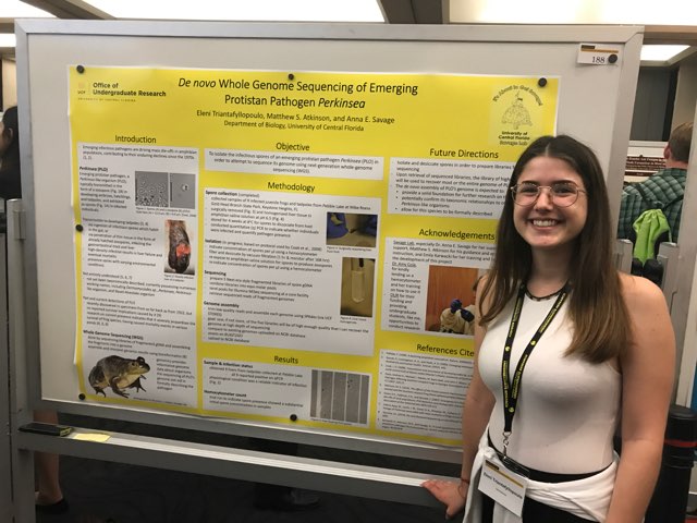 SavagelabUCF's tweet photo. Junior undergraduate Eleni Triantafyllopoulou presenting her research on #perkinsea at #SURE2018 πΈ #itsabouttogetsavage https://t.co/yamO1kOkvd