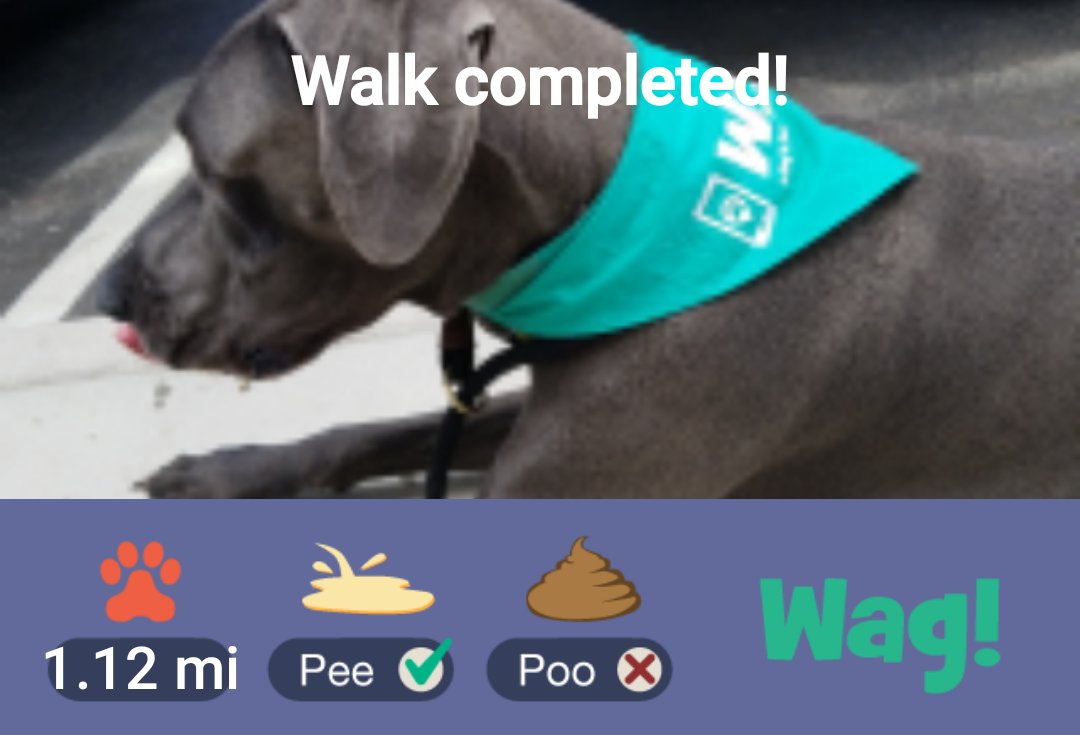CombatZonePBLV's tweet photo. Just Finished a dog walk on Wag! Use my promo code DEBRA76552 for $50 in FREE Wag! credit! Play store: https://t.co/kRINAaTCJo https://t.co/Ze68qaZ64F