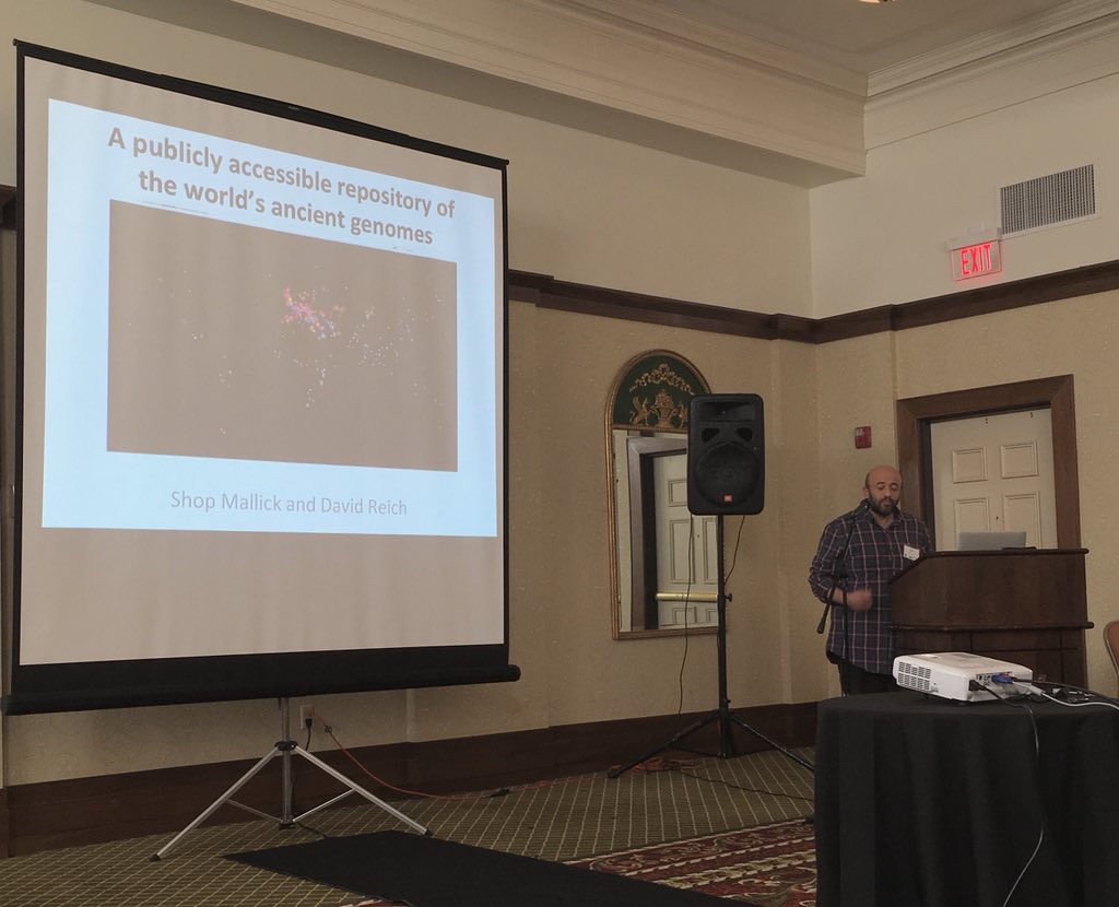 improving expression of recombinant human igf 1