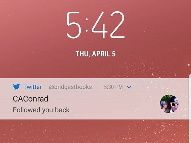 bridgestbooks's tweet photo. makes a bookstore feel good @caconrad13 #bookstore #poets #caconrad https://t.co/cfc4yg8Mub https://t.co/tSw32HWC4j