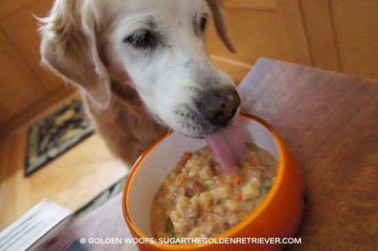 K9SpringFling's tweet photo. Nourish with Love! We're excited to present Spring Fling sponsor, @CaruPetFood  Learn more: https://t.co/O4lzTCUAgs

#k9springfling #unleashedspringfling #raleighevents #humangradepetfood #onlythebest #eventhepickydogloveit https://t.co/t9L1fd4TXf