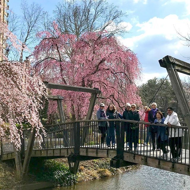 RestonRCC's tweet image. RCC’s Walking Group enjoyed the sights of spring around Lake Anne today!

#ActivateYourDay #FreshAir #ExerciseOutside #ExerciseWithFriends #WalkingGroup #SpringIsHere #StartingToBloom #CherryBlossoms #CherryBlossomSeason #DMV #LakeAnnePlaza #RestonCommun… instagram.com/p/BhM_0ezDudW/