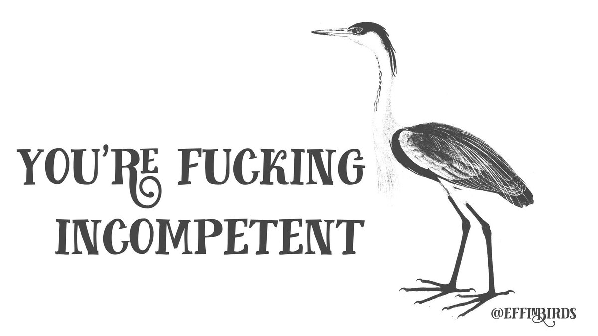EffinBirds's tweet photo. https://t.co/WkfnwqBCbG