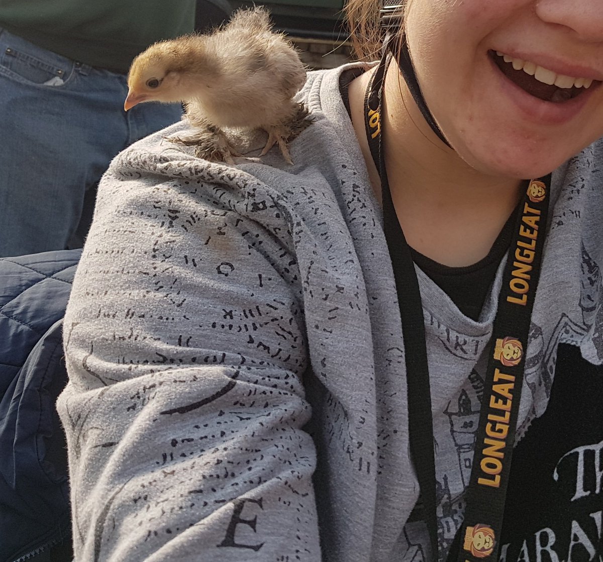 growandsow's tweet photo. The chickens who think they are parrots #growandsow #Rowde @Hftonline. https://t.co/TkcTtl8Y4C