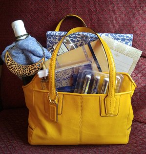 ItsCriminalbwb's tweet photo. Ready for a new spring look? Why not bid on this beautiful gold Coach purse at this year's Purses with Purpose? It's a benefit for @TheatreECCT. Tickets on sale now at https://t.co/6VCMIcPqRE! #PursesWithPurpose #ImGoing #ItsCriminalbwb https://t.co/ochNKvflGO