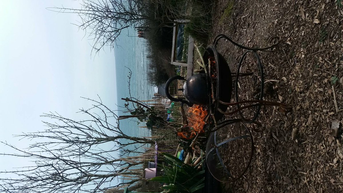 RootstoGrowUk's tweet photo. Yay a sunny day! #allotment #portwrinkle #therapeutic #wellbeing https://t.co/3Mox4blun6