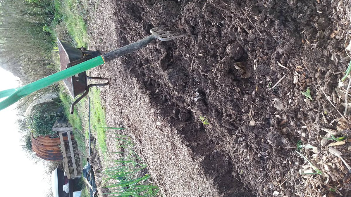 RootstoGrowUk's tweet photo. Yay a sunny day! #allotment #portwrinkle #therapeutic #wellbeing https://t.co/3Mox4blun6