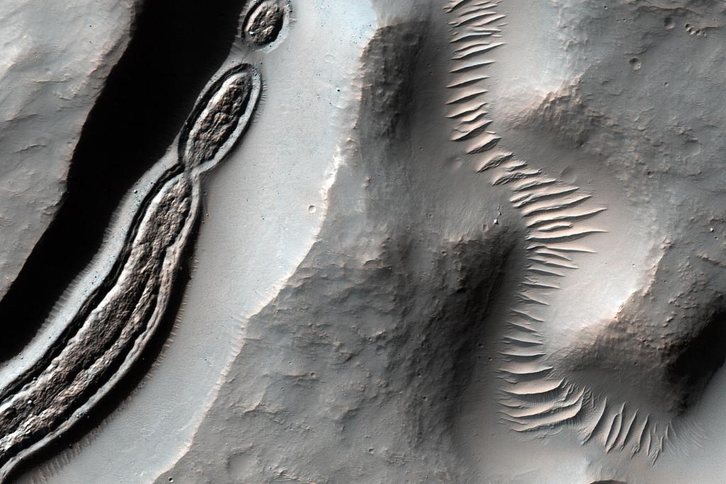 NASA's tweet photo. Scientists are debating the origin of these peculiar relics on the surface of Mars, seen by @HiRISE on our Mars Reconnaissance Orbiter. What do you think produced these strange formations?

https://t.co/URmffpafnI https://t.co/C1M63uF6ne