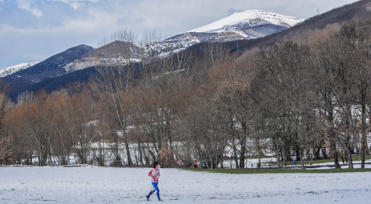 CEOLaRobla's tweet image. Ya están disponibles las fotos del CEO La Robla de @SergioPenaPerez en el siguiente enlace:
photos.app.goo.gl/iC0TQaoM2sJCuA…