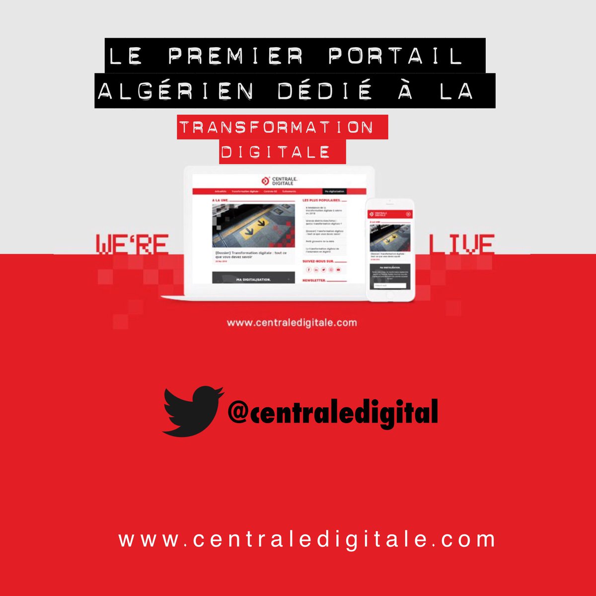 <a href="/centraledigital/">Centrale Digitale</a> le site web de Centrale Digitale, le premier portail algérien dédié à la transformation digitale !
➡️ centraledigitale.com <a href="/meriembkz/">Meryem Kanatoğlu</a> <a href="/chouaibattoui/">Chouaib Attoui</a> <a href="/sofianechaib1/">Sofiane Chaïb</a> <a href="/ImadMesdoua/">Imad Mesdoua</a> <a href="/ferielyasmina/">Yasmina🦕</a> @IhebTekkour <a href="/AhmedAitissad/">Ahmed Ait issad</a> 

#CentraleDigitale #numérique