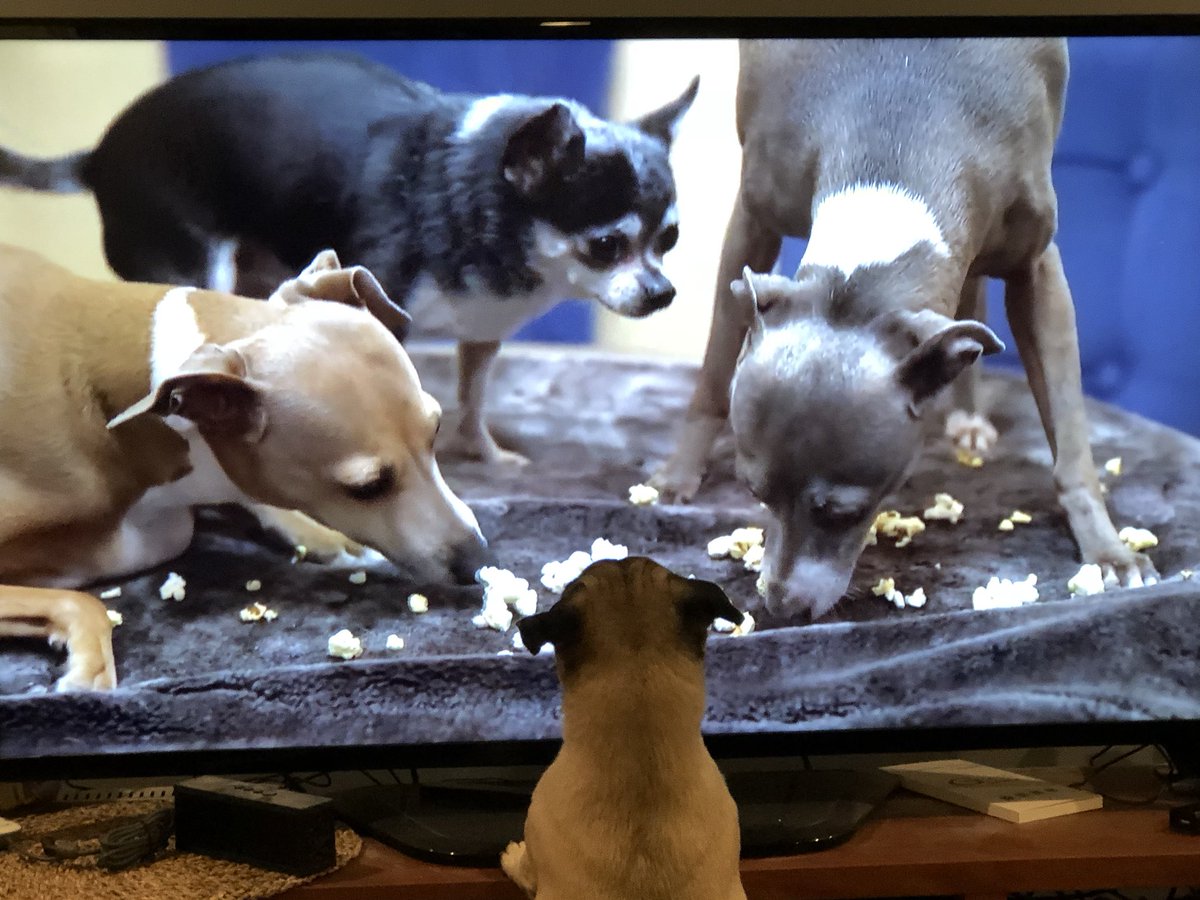 Big4Vlad's tweet photo. @Jenna_Marbles https://t.co/XjocReEtxo