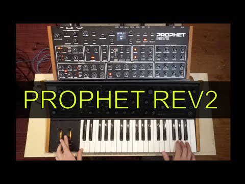 Samizdat tweet media