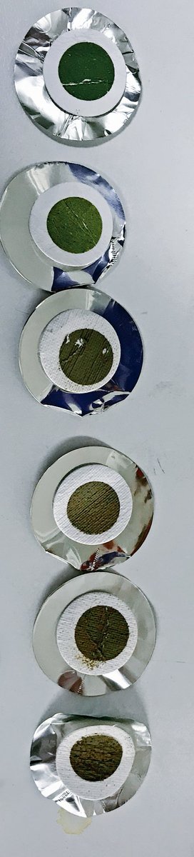 StaceyFelgate's tweet photo. Ever wondered how #organicmatter changes across an #estuary? Of course you have! Here’s 6 samples taken across the #salinitygradient during the year long #locatesampling effort.
More info at https://t.co/VVHS4Io4H0.
#sciencetwitter #STEM #FieldResearch #marinescience #carbon https://t.co/CK1nsyFhyR