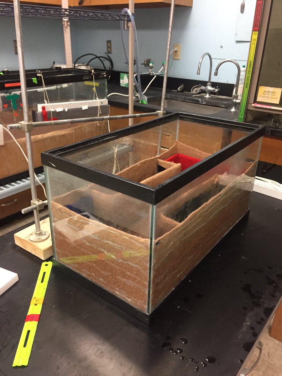 TexasScience's tweet image. The Fish Behavior stream was quite the visit! Students here craft fish tanks to observe the various personalities of fishes. The stream is unique and is one of few streams to focus solely on behavior! Wanna help out? Donate now - link in bio! #FRItakeover #UT40for40 #FishBehavior