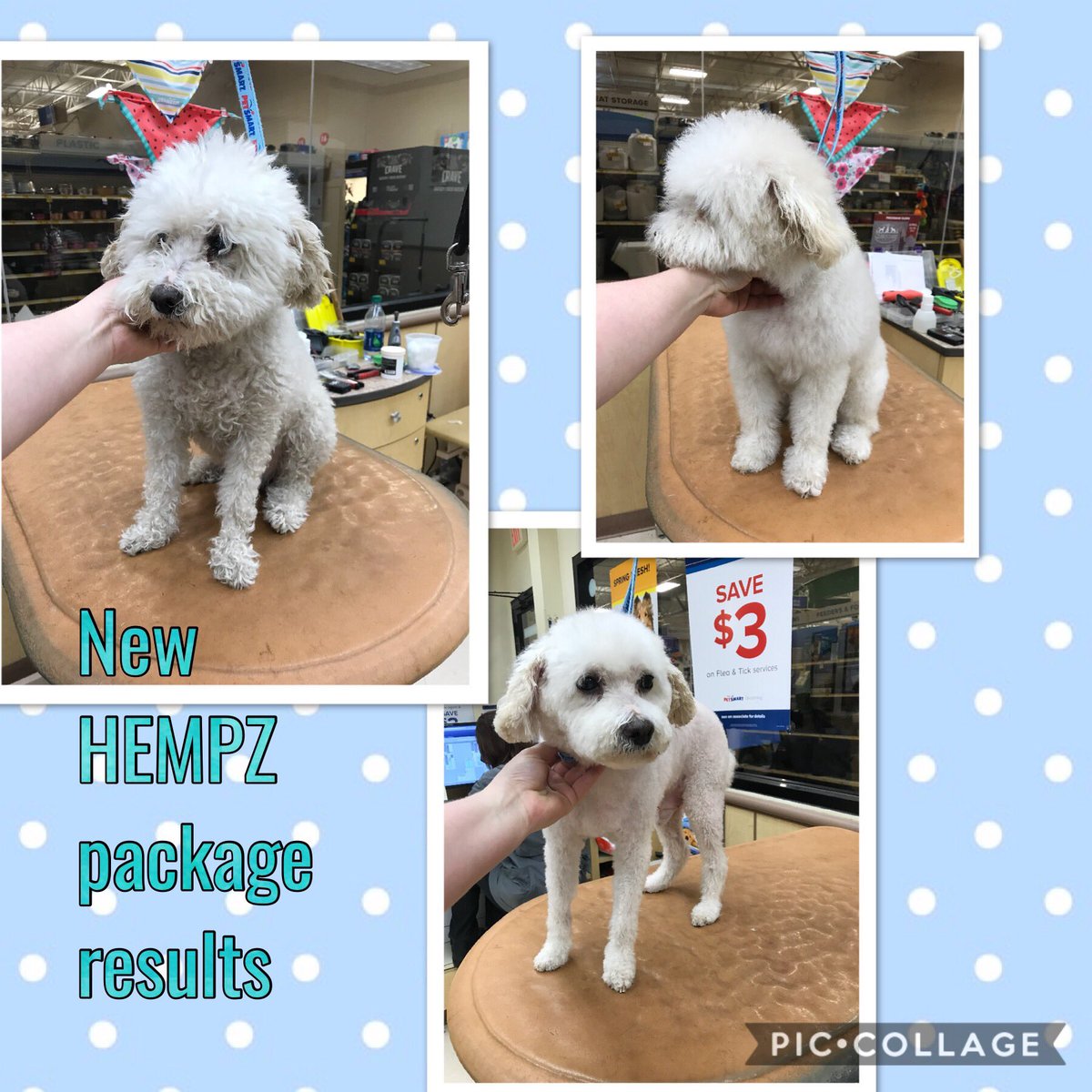 Little G came in and tried our new HEMPZ package today.  The results are amazing 😊