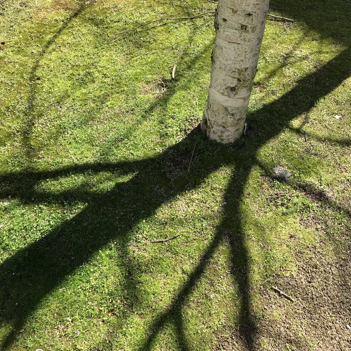 DrawConnect's tweet photo. A #glorious hour walking to work, taking pictures of things in bright #Spring #Sunshine. Considering source material that I may take in to prison. Everyday things, often easily overlooked, but bring simple #pleasures. Playing with light & a #shadowsreflection. @CamCriminology https://t.co/gFaGfG5cwD