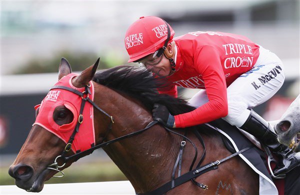 bettingprocomau's tweet image. TJ SMITH STAKES TIPS

Is #Redzel under the odds in #TJSmithStakes?

bettingpro.com.au/category/horse…