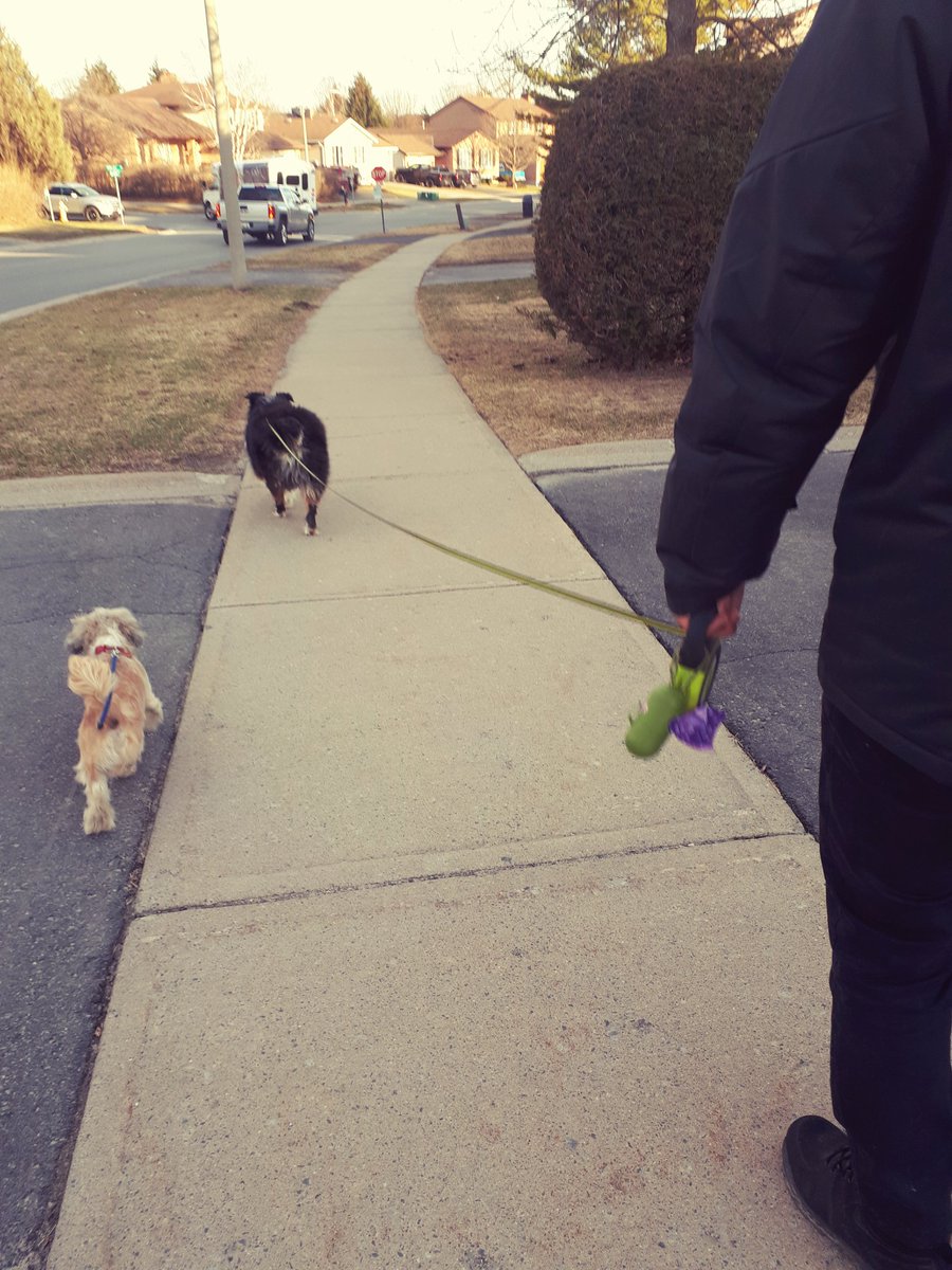 AliMarieAbbott's tweet photo. What a beautiful afternoon for our walk 🌼 https://t.co/ykhQgbbPn0