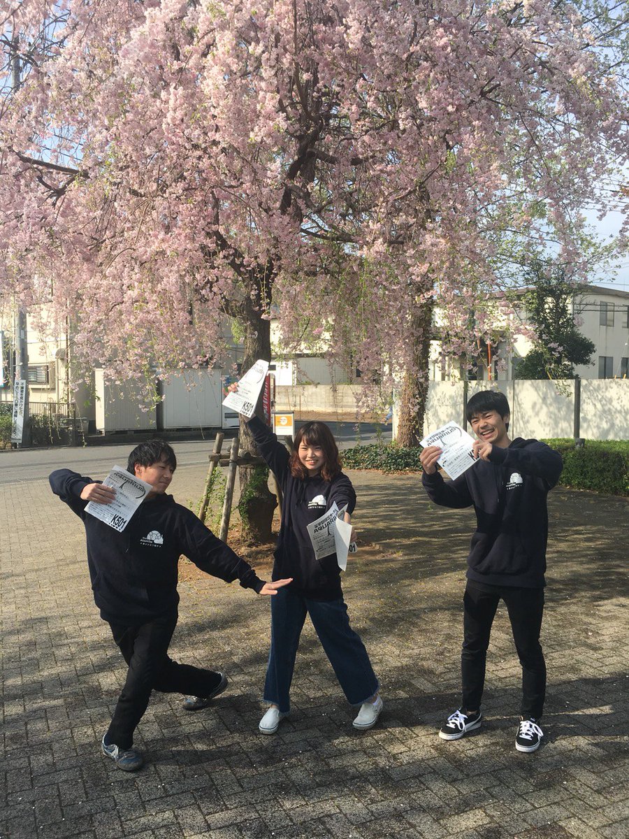 東京理科大薬学限定 Aquarius On Twitter おはようございます 今日は薬学部棟の前でビラ配りしてます テスト頑張って下さい アセスメントテストは成績には入らないので頑張りすぎなくても 笑 テストのあと履修説明を学生ホールでやります ぜひ来てください