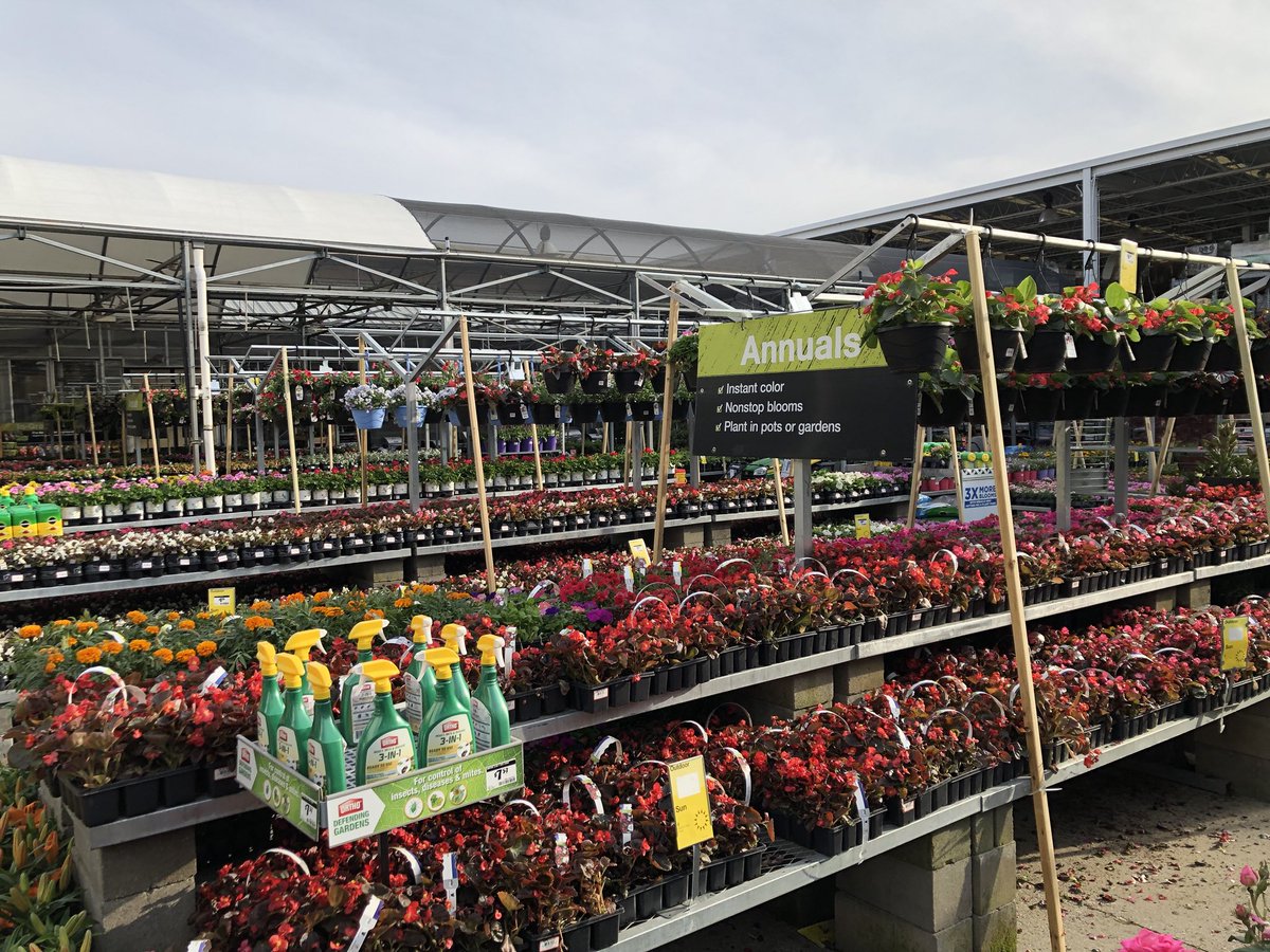 Darla K Davis (@darla_k_davis) on Twitter photo Recovering from overnight cold protection and Team Rambo and Team #TheHoov 881 knocked it out of the park!!!!!!!!!! Partnership makes it all work. One Team!!! <a href="/RamboNursery/">Rambo Nursery</a> <a href="/BenRambonursery/">Ben@Rambonursery</a> <a href="/freddyplants/">Fplants</a> <a href="/JohnTuten2/">John Tuten</a> <a href="/1sherredavis/">Sherre Davis-Hood</a> <a href="/MarkEHamlton/">Mark E Hamilton</a> <a href="/aaronpricerambo/">Aaron</a> <a href="/sam_e_rambo/">Sam Rambo</a> Recovering from overnight cold protection and Team Rambo and Team #TheHoov 881 knocked it out of the park!!!!!!!!!! Partnership makes it all work. One Team!!! <a href="/RamboNursery/">Rambo Nursery</a> <a href="/BenRambonursery/">Ben@Rambonursery</a> <a href="/freddyplants/">Fplants</a> <a href="/JohnTuten2/">John Tuten</a> <a href="/1sherredavis/">Sherre Davis-Hood</a> <a href="/MarkEHamlton/">Mark E Hamilton</a> <a href="/aaronpricerambo/">Aaron</a> <a href="/sam_e_rambo/">Sam Rambo</a>