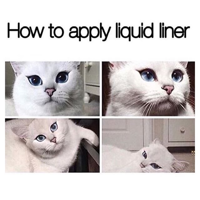 LynnBeautee's tweet photo. https://t.co/uogdnDjfGN