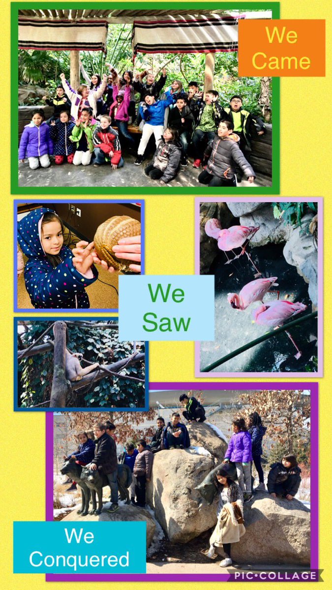 Deborah Cook tweet media