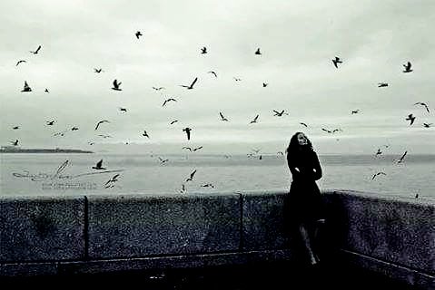 #MaurizioCostanzoShow

"L'amore genera amore. "

<a href="/ritadallachiesa/">rita dalla chiesa🇮🇹</a> ❤