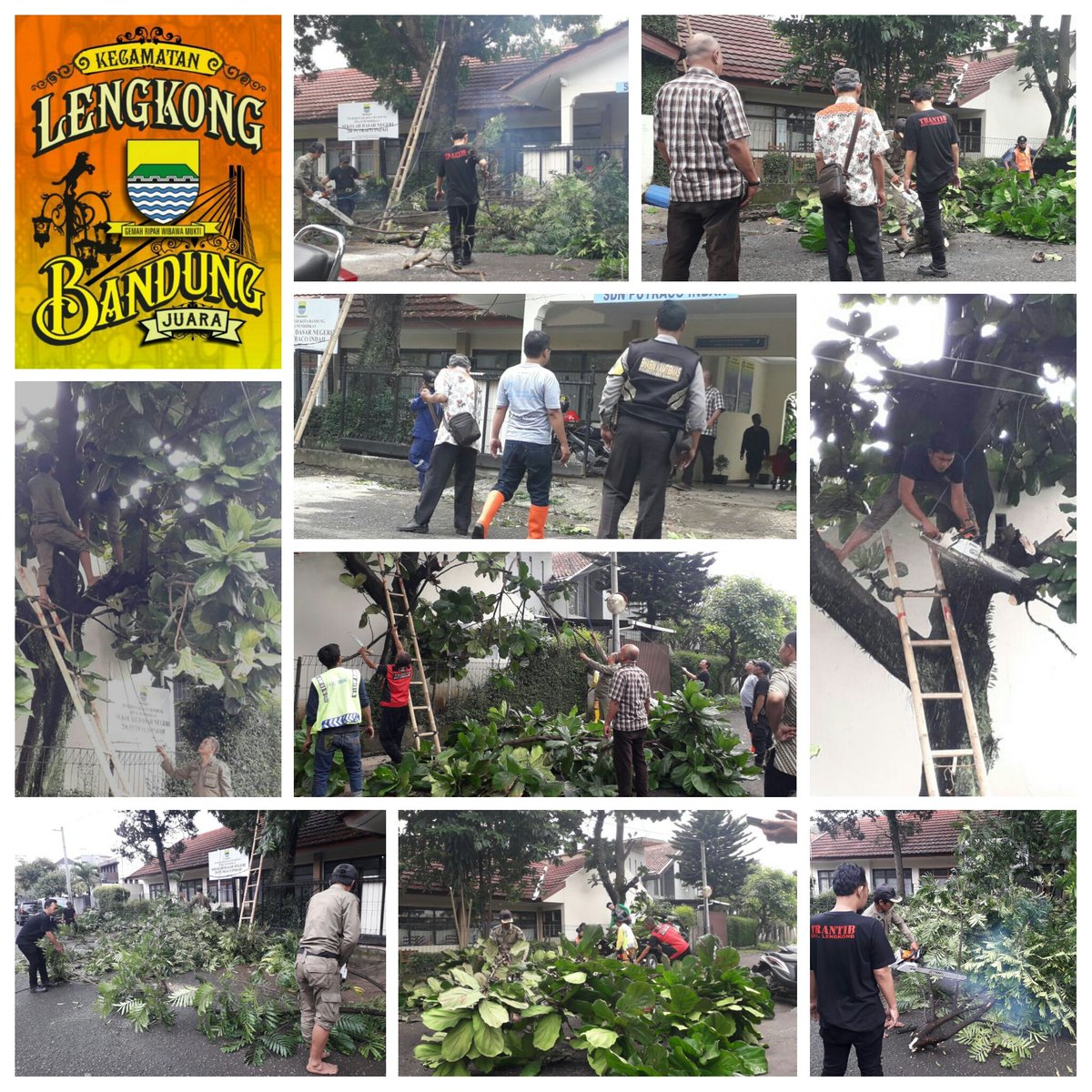 Trantib_kec_lengkong (@trantiblengkong) on Twitter photo Jum'at 06 april 2018, pemangkasan pohon untuk persiapan lomba adiwiata tingkat provinsi di sdn Putrako Kelurahan Turangga Kecamatan Lengkong
<a href="/keclengkong/">Kecamatan Lengkong</a> <a href="/Satpolppbdg/">Satpol PP Kota Bandung</a> @dpkp3bdg <a href="/pembdg/">Pemerintahan Bandung</a> @HumasBdg <a href="/infobdg/">BANDUNG ᮘᮔ᮪ᮓᮥᮀ</a> <a href="/bandung/">ؘ</a> Jum'at 06 april 2018, pemangkasan pohon untuk persiapan lomba adiwiata tingkat provinsi di sdn Putrako Kelurahan Turangga Kecamatan Lengkong
<a href="/keclengkong/">Kecamatan Lengkong</a> <a href="/Satpolppbdg/">Satpol PP Kota Bandung</a> @dpkp3bdg <a href="/pembdg/">Pemerintahan Bandung</a> @HumasBdg <a href="/infobdg/">BANDUNG ᮘᮔ᮪ᮓᮥᮀ</a> <a href="/bandung/">ؘ</a>