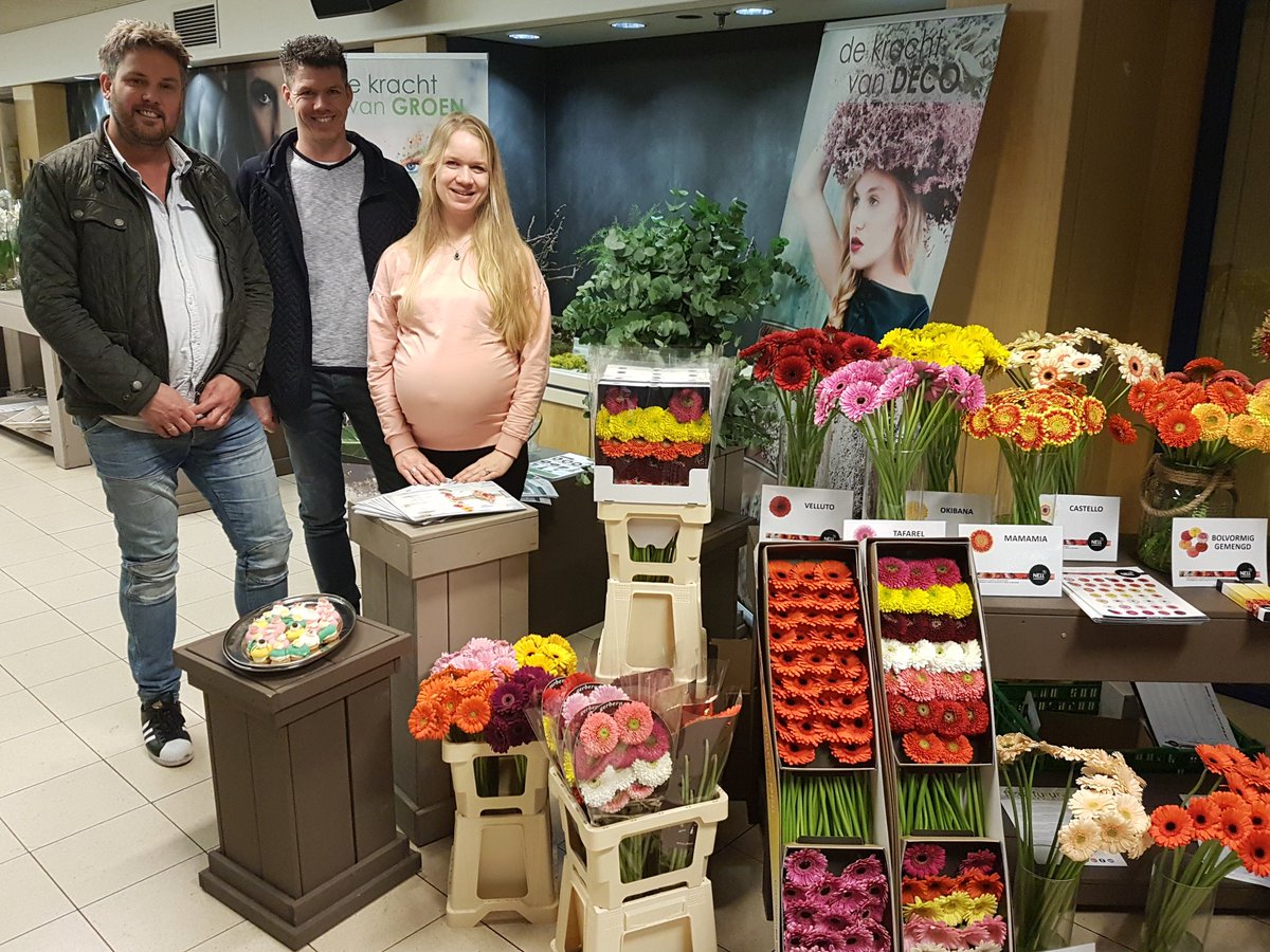 Gerberasnl's tweet photo. Op @FloraHolland #Rijnsburg #veilingklok, rassen presenteren, #sneakpreview #Pastini https://t.co/ylTaEuMfXs