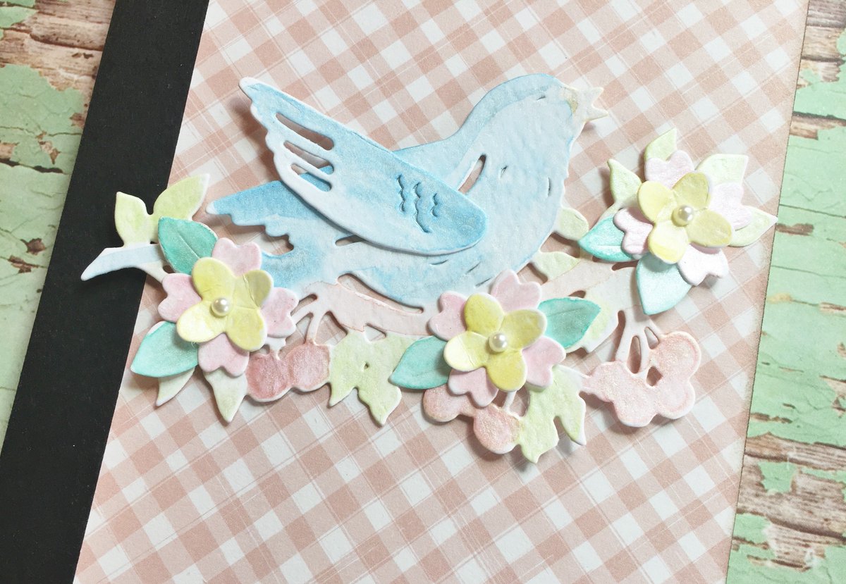 HopeandChances's tweet photo. It's Friday Die Day featuring @Spellbinders Bird on Cherry Branch - so tweet! https://t.co/WP4P9zIkdH #neverstopmaking #teamspellbinders #fridaydieday #hopeandchances #homeallthingsspellbinders #diecutting #papercraft #sharynsowell https://t.co/YeohCT8HwZ